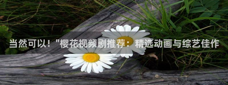 星空影视最新版