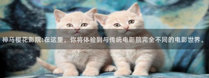 星空电影院免费播放电影
