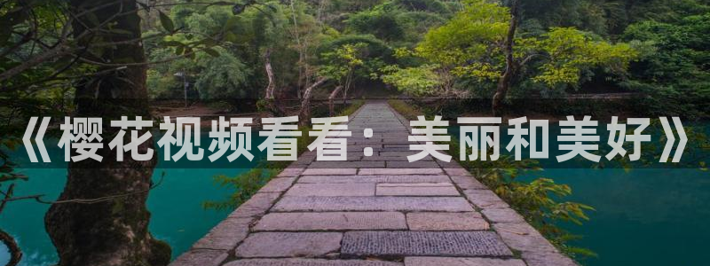 星空影视大全下载