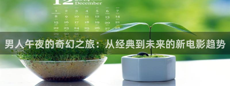 星空mv高清在线播放