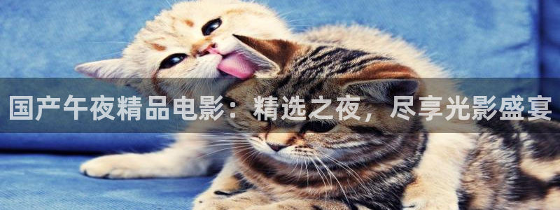 下载午马电影