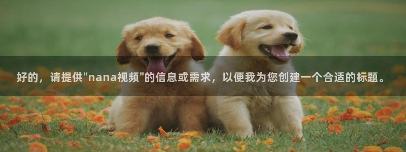 星空影视网免费观看