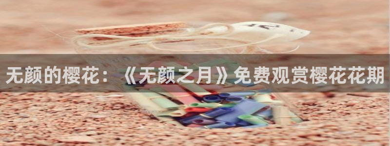 午马电影在线观看免费视频
