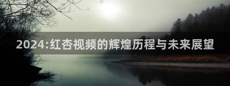 星空动漫免费观看高清完整版