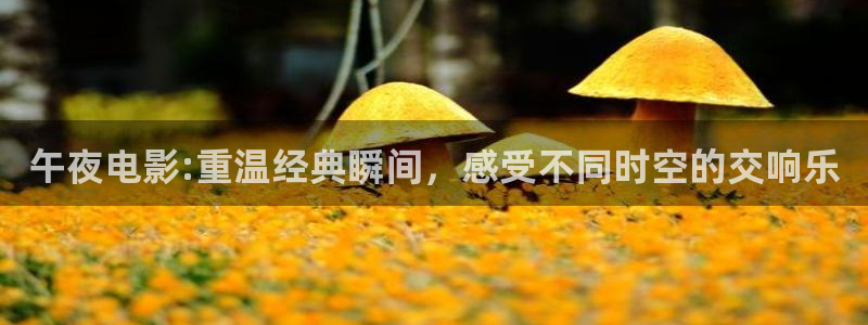 星空影视大全在线观看