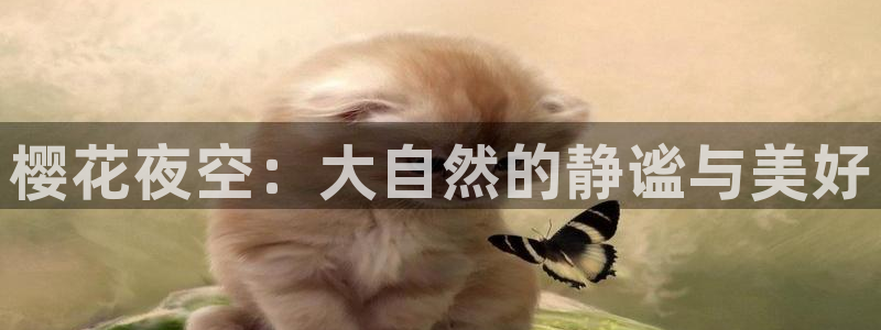 午马电影免费观看电视剧电影