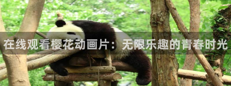 星空影视在线观看