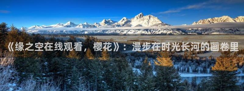 午马电影手机在线观看免费完整版