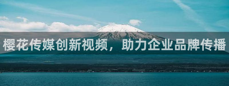 午马电影高清电视剧