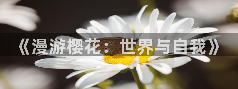 午马电影电影免费观看
