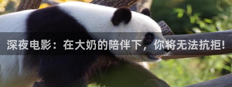 午马电影电视剧免费观看在线观看