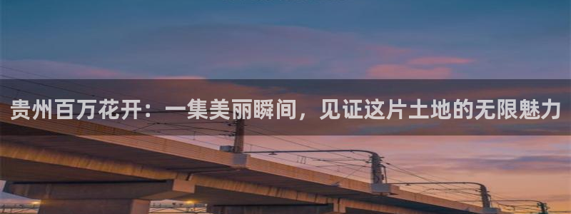 狂飙午马电影免费观看