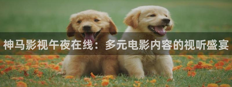 延安午马电影今日影讯