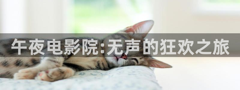 沉香如屑电视剧免费午马电影