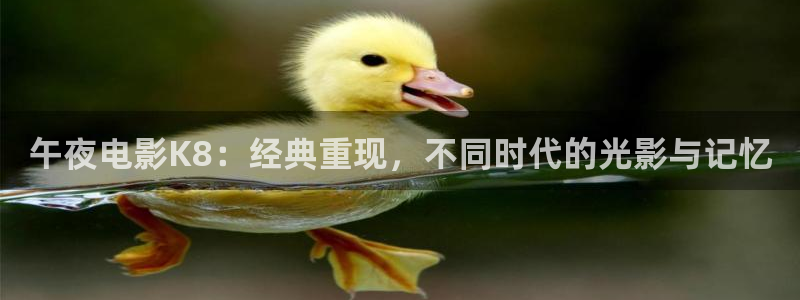 午马电影在线观看视频
