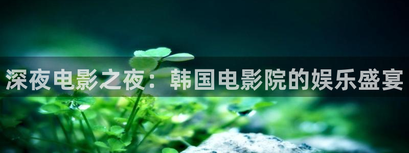 午马电影网免费