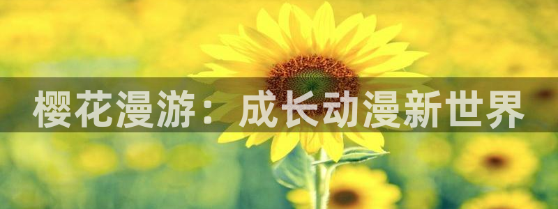 星空视频电影在线看免费观看