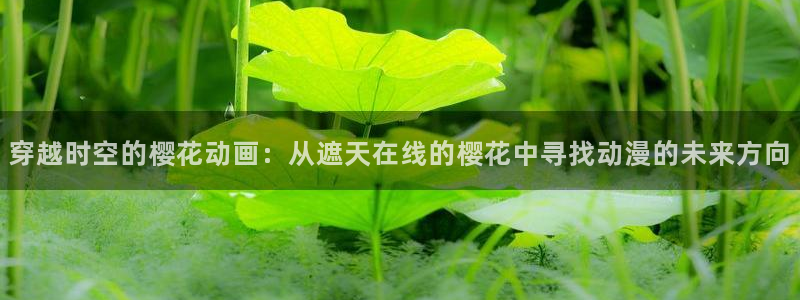 星空电影影院在线观看免费完整版高清