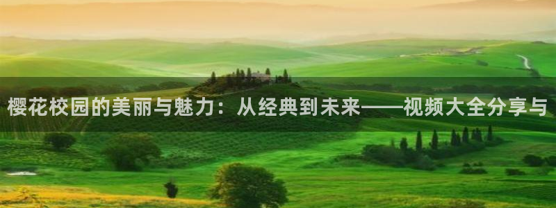 星空影视在线免费观看电影