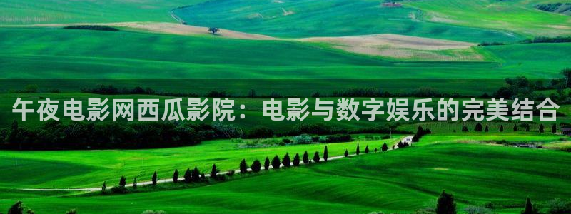 星空下的誓言电影
